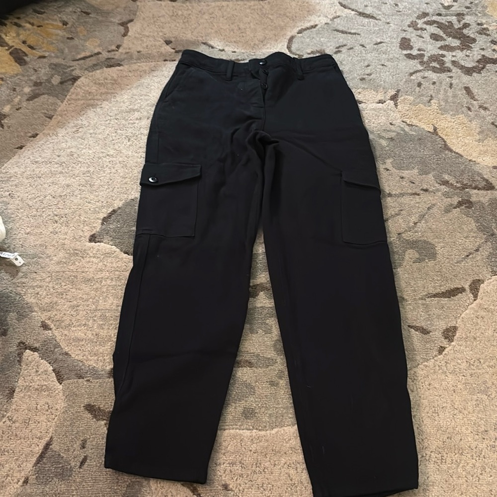 Wilfred free modern cargo pants from aritzia